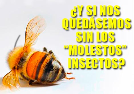 [Img #57663]