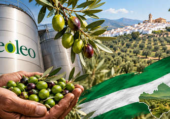 EN JUEGO EL CONTROL DEL ACEITE DE OLIVA: ¿QUIÉN CONTROLA LA RIQUEZA DEL CAMPO ANDALUZ?