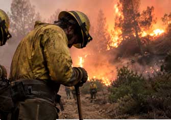 MONTES ABANDONADOS, INCENDIOS DESCONTROLADOS: EL PFE SEÑALA AL ESTADO